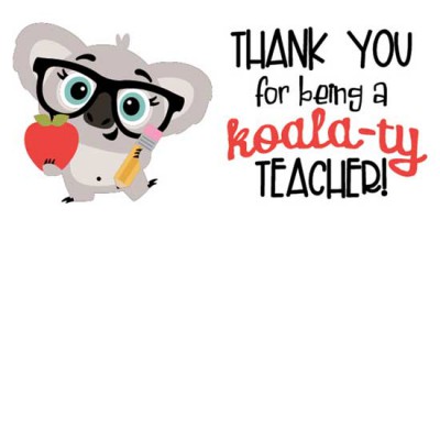 Kutie Koala - Teacher - CS