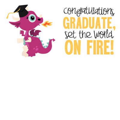 Little Dragons - Graduate - GS
