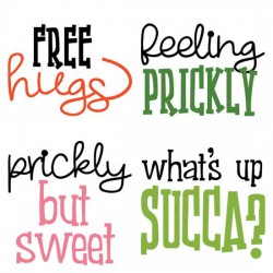 Desert Vibes - Puns - CS