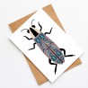Brilliance - Beetle - CS -  - Sample 1