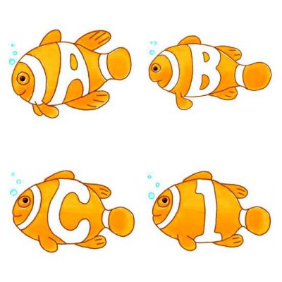 Clown Fish - AL