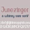 PN Junezinger -  - Sample 2