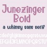 PN Junezinger Bold -  - Sample 2