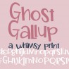PN Ghost Gallup - FN -  - Sample 2