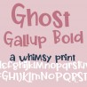 PN Ghost Gallup Bold - FN -  - Sample 2