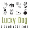 DB Lucky Dog - DB -  - Sample 1