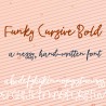 PN Funky Cursive Bold - FN -  - Sample 2