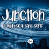 PN Junction - FN -  - Sample 2