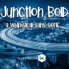 PN Junction Bold - FN -  - Sample 2