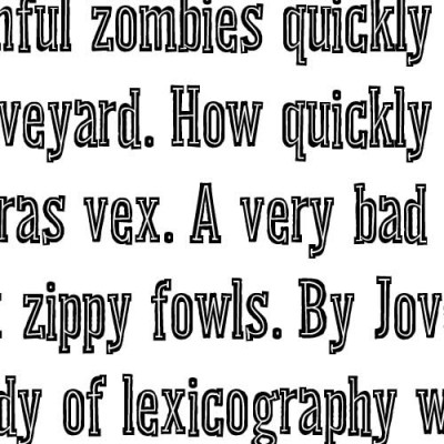 ZP Digestion Inline - FN