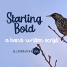 PN Starling Bold - FN -  - Sample 2