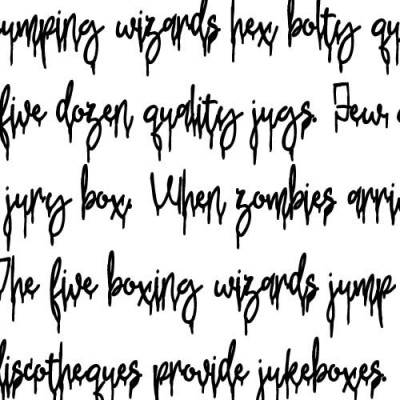 ZP Echinacea Evil Bold - FN