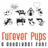 DB Furever - Pups - DB -  - Sample 1