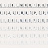 ZP Letter Tiles - FN -  - Sample 6