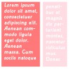 ZP Barely Pink - Bold - FN -  - Sample 5
