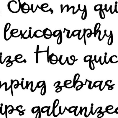 ZP Mighty Moose Bold - FN