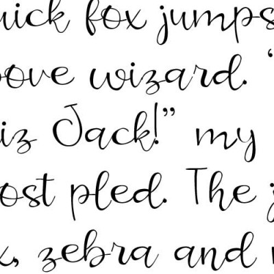 ZP Mighty Moose Lite - FN