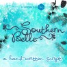 ZP Southern Belle Bold - FN -  - Sample 2