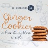 ZP Ginger Cookies Light - FN -  - Sample 2