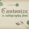 PN Cantonize - FN -  - Sample 2