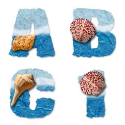 Seashells - AL