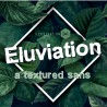 PN Eluviation - FN -  - Sample 2
