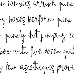 ZP Authorize Condensed - FN