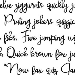 PN Bellingham Book - FN