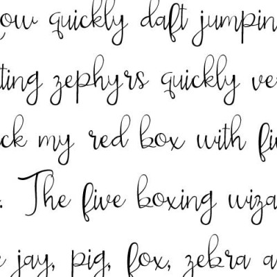 PN Bellingham Light - FN