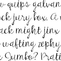 PN Blondie Light - FN