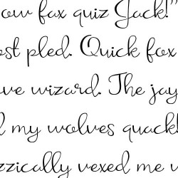 ZP Elopement Light - FN