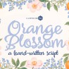 ZP Orange Blossom Bold - FN -  - Sample 2