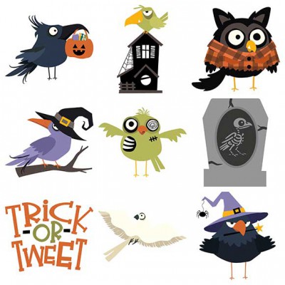 Bones and Feathers Society - GS