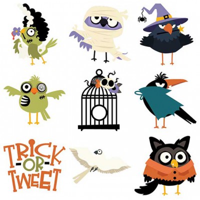 Bones and Feathers Society - CS