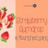 ZP Strawberry Gumdrop - FN -  - Sample 2
