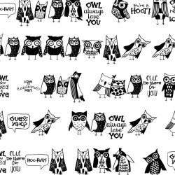 DB Hoot and Whimsy - DB