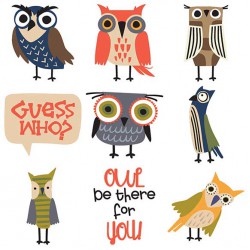 Hoot and Whimsy - CS