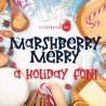 PN Marshberry Merry Serif - FN -  - Sample 2