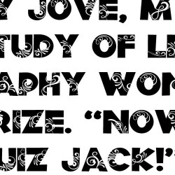 ZP Wild Wonderland Expanded - FN