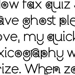 ZP Poinsettia Kiss - FN