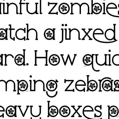 ZP  Poinsettia Kiss More - FN