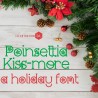 ZP  Poinsettia Kiss More - FN -  - Sample 2