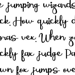 ZP Fructose Expanded - FN