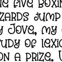 ZP Youthquake Bold - FN