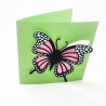 Pistachio Piffle - Card - CP -  - Sample 1