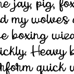 PN Snapshot Bold - FN