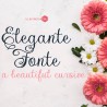 PN Elegante Fonte - FN -  - Sample 2