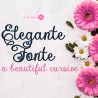 PN Elegante Fonte Bold - FN -  - Sample 2