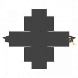 Paws - And Diplomas - Box - CP
