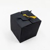 Paws - And Diplomas - Box - CP -  - Sample 1